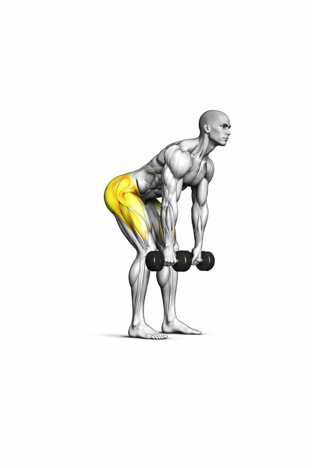 Rumänisches Kreuzheben mit Kurzhanteln – Hüftbeuge mit Fokus auf hintere Oberschenkel