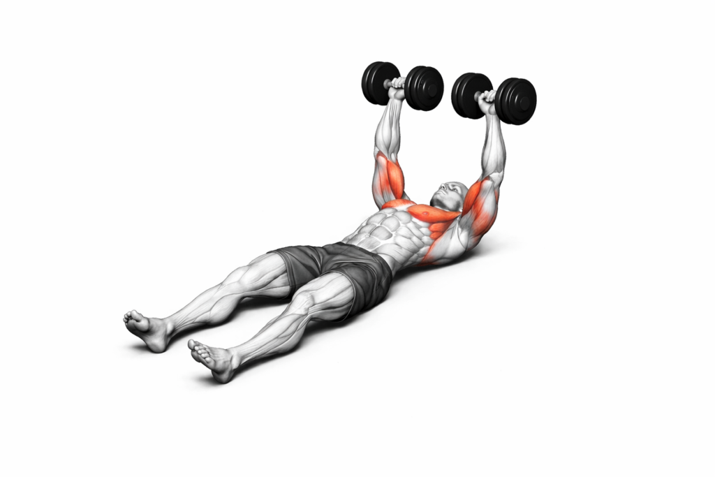 Kurzhantel Floor Press – Endposition mit Kurzhanteln über der Brust