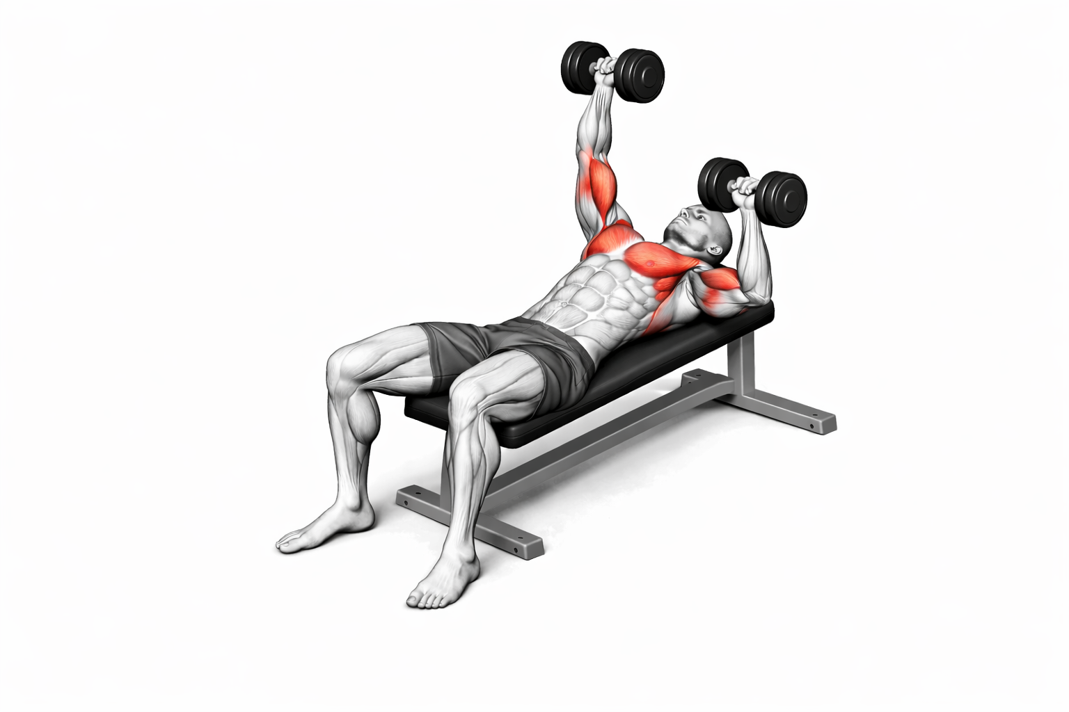 Alternierendes Kurzhantel-Bankdrücken – Endposition mit einseitig gestrecktem Arm